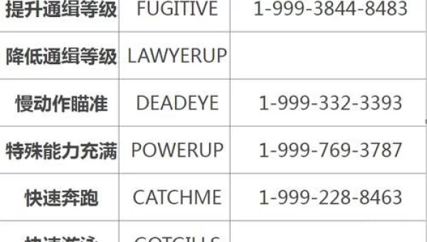 侠盗5秘籍