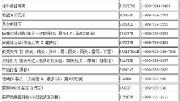 侠盗5秘籍