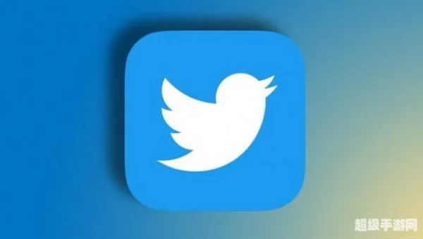 能上twitter的加速器