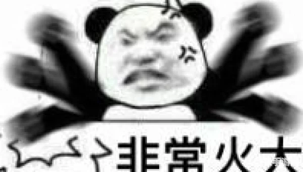 火金派熊猫人