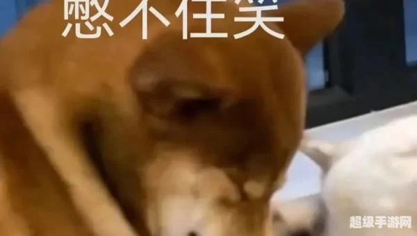 婉拒了哈