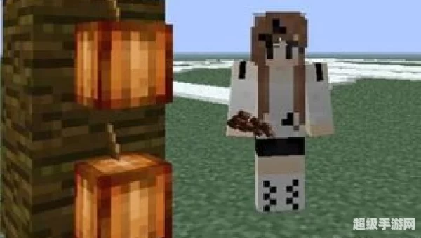 minecraft可可豆